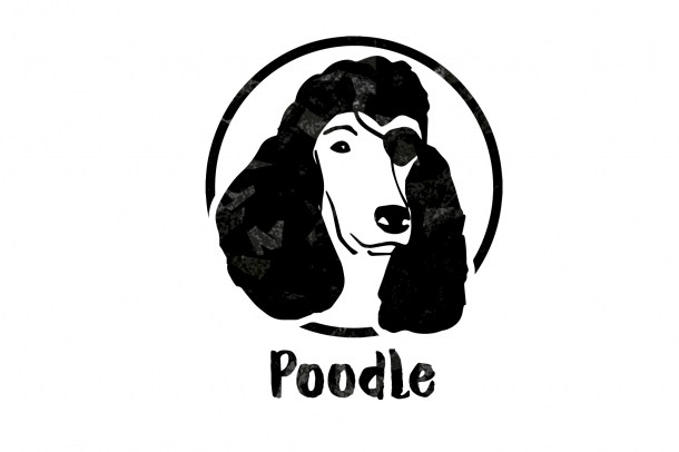 3 Pirate Poodle (1820x1214)
